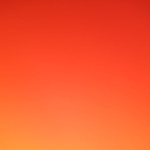 Meet your Posher, Shirley - Picture 1 of 1